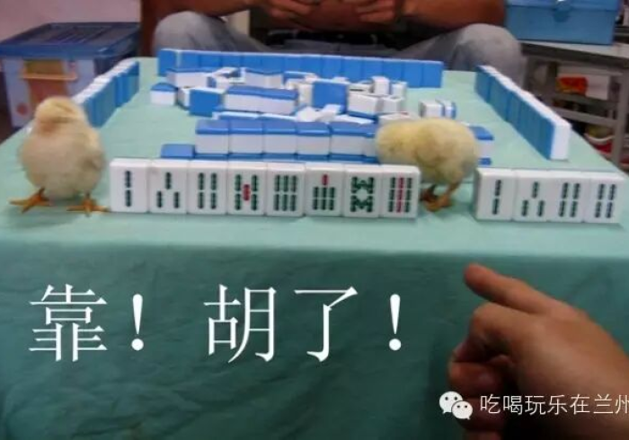 [分享]“广西老友玩摆十三张是不是有挂吗”分享必要外挂教程