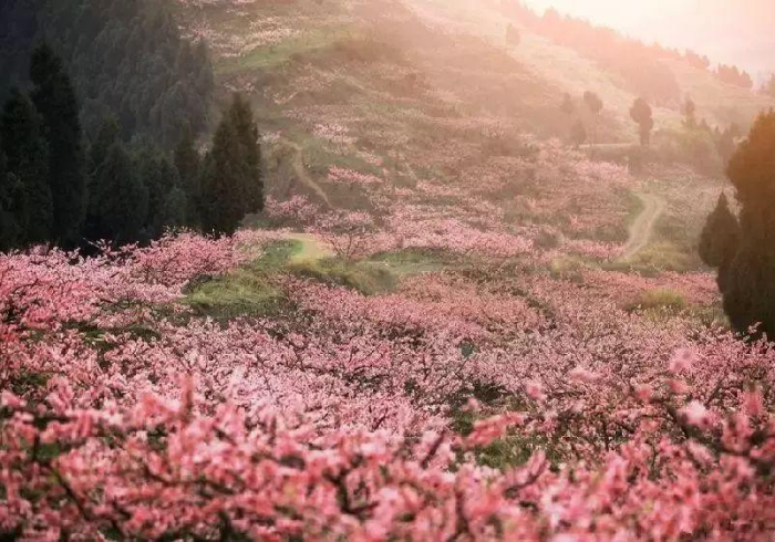 3分钟教程“迎春麻将作弊软件”最新辅助详细教程