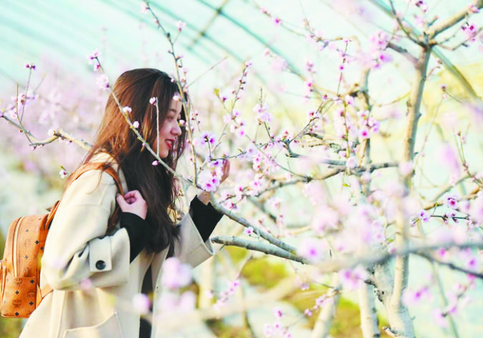 必 备 教 程 “ 桃 花 庄 系 统 漏 洞 ” 详 细 外 挂 辅 助 详 细 教 程