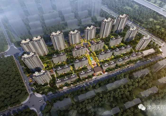 [ 分 享 ] “ 天 府 麻 舍 有 规 律 吗 ” ( 透 视 曝 光 猫 腻 )