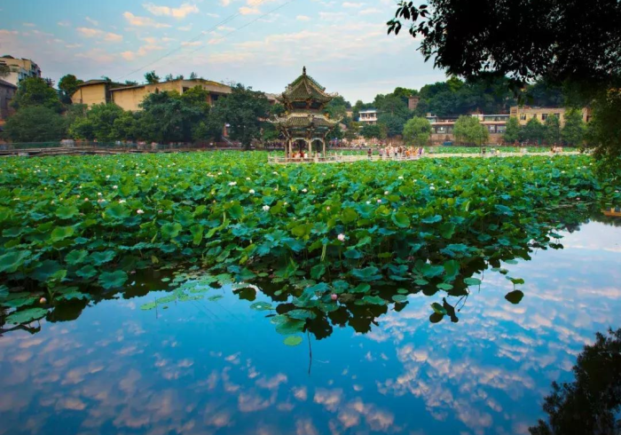 实 测 脚 本 “ 火 拼 耍 大 牌 有 什 么 办 法 让 牌 好 ! 详 细 开 挂 教 程