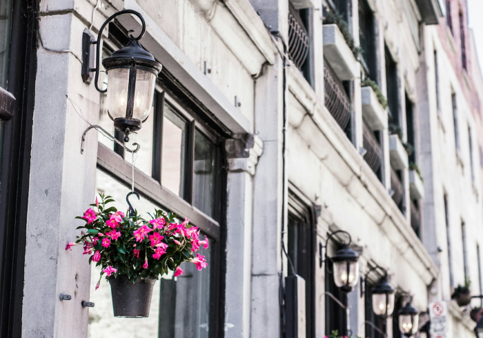 分享!“乐驿茶坊有挂么”原来真的有挂 分享!“乐驿茶坊有挂么”原来真的有挂
