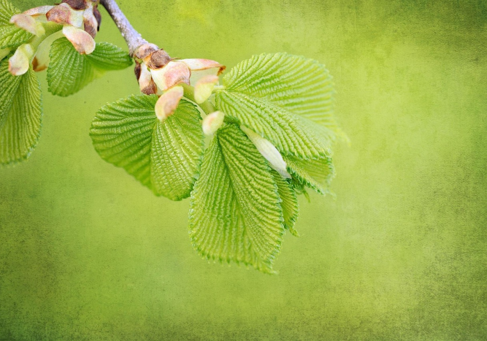 一分钟教你“微乐春天扑克到底有挂吗”原来确实有挂 一分钟教你“微乐春天扑克到底有挂吗”原来确实有挂