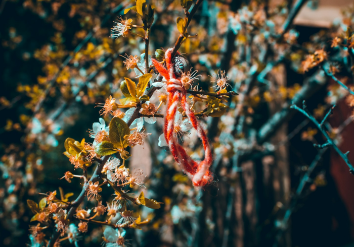 科技消息“樱花之盛有开挂辅助吗”有开挂详细教程 科技消息“樱花之盛有开挂辅助吗”有开挂详细教程