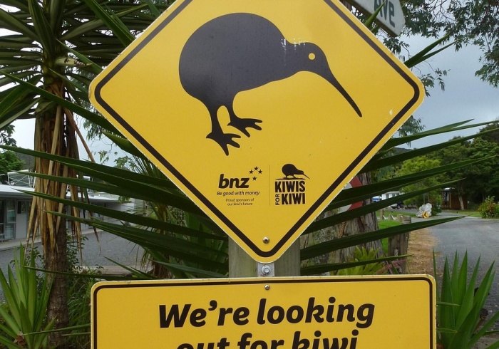 科技消息“天地游到底有没有挂”有开挂作弊