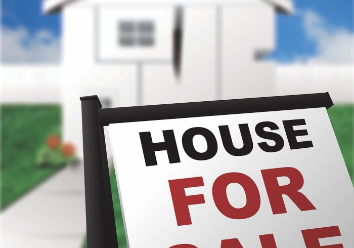 重磅.揭秘“新悦怎么赢”2025火爆一款