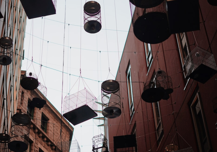 科普一下“新青鸟大厅有挂吗”事实上确实有挂