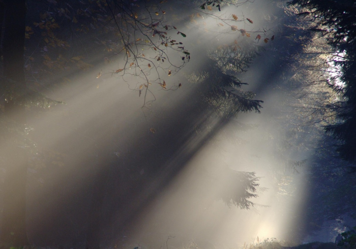 第一攻略“九尾有没有黑科技”确实真的有挂 第一攻略“九尾有没有黑科技”确实真的有挂