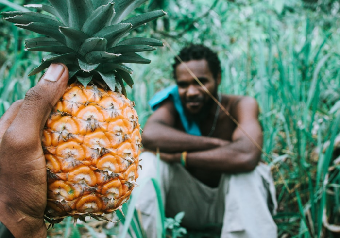 分享!“七八九大菠萝辅助专用神器”事实上真的有挂 分享!“七八九大菠萝辅助专用神器”事实上真的有挂