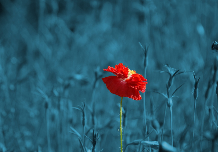 给你科普“秋水佳人有挂吗”其实是有挂