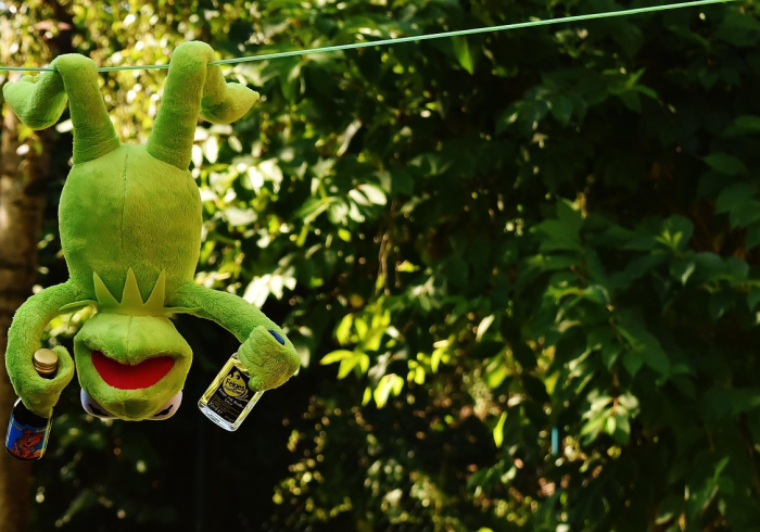 热点推荐“葫芦娃捉鸡怎么开挂是真的吗”原来真的有挂