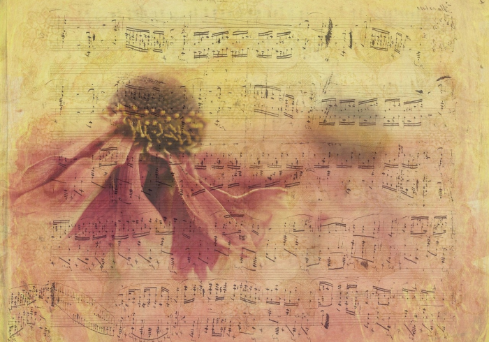 经验总结“朱雀开心罗松确实有挂吗”!其实真可以装挂 经验总结“朱雀开心罗松确实有挂吗”!其实真可以装挂