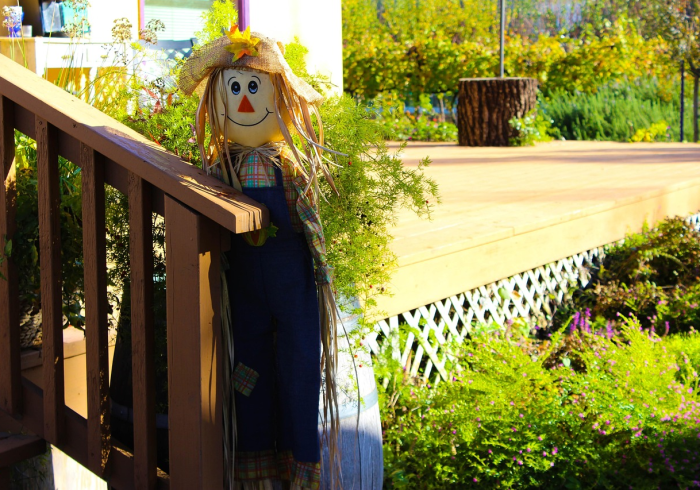 最新消息“乐斗小院的确可以开挂”开挂教学