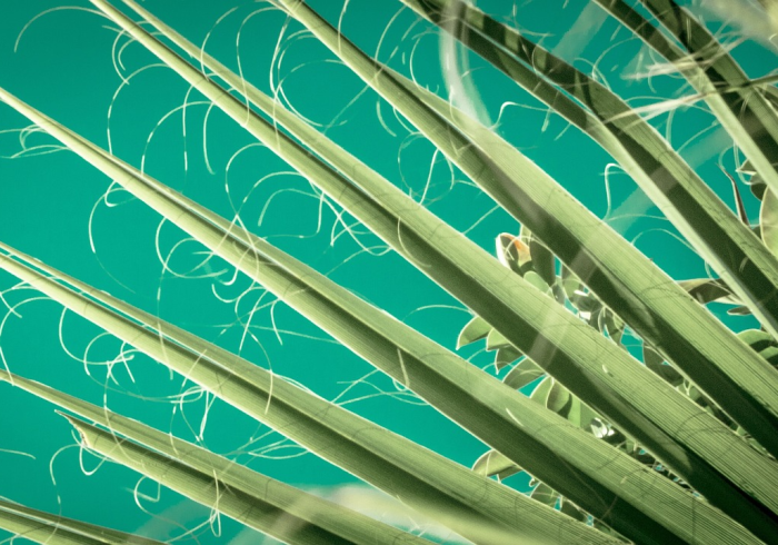 给你科普“纸娃盐城麻将确实是有挂”开挂教学