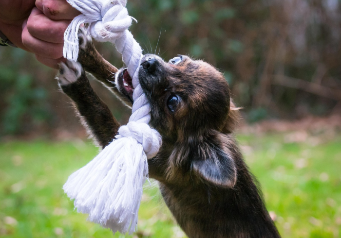 重大来袭“美猴王是可以开挂”开挂神器
