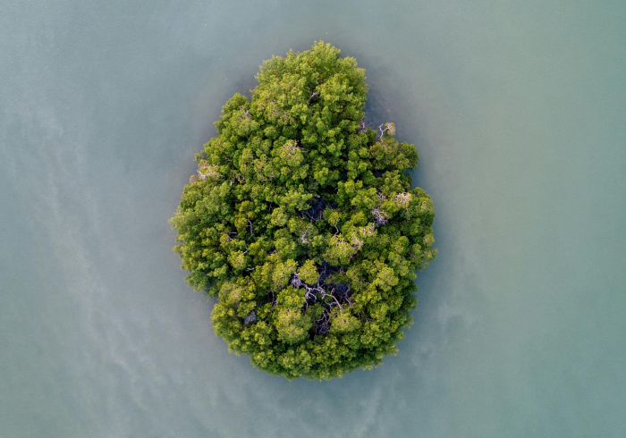 推荐一款“毛豆大厅有挂辅助吗”(真的有挂)