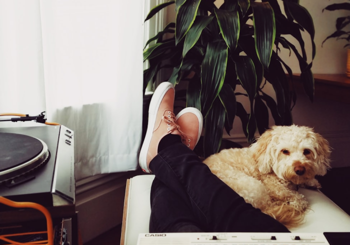 玩家必看“小狗音乐到底有没有挂”可以开挂软件 玩家必看“小狗音乐到底有没有挂”可以开挂软件