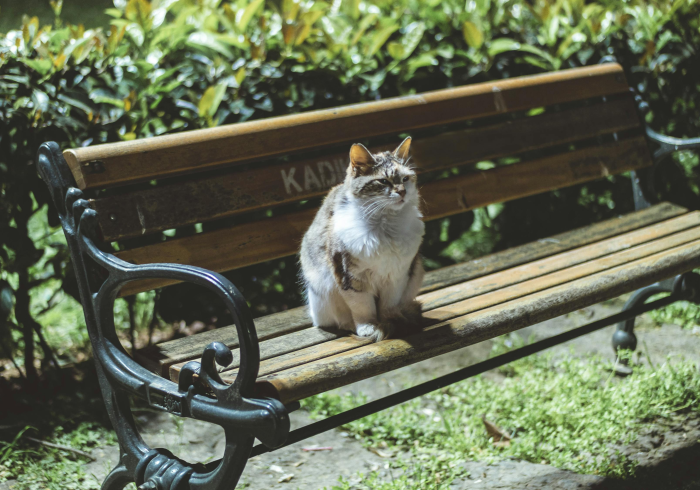 了解科技“大唐小兔跳跳有什么挂”(确实有挂)