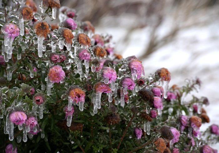【第一攻略】“摇钱树能调胜率吗”(太坑了果然有挂)