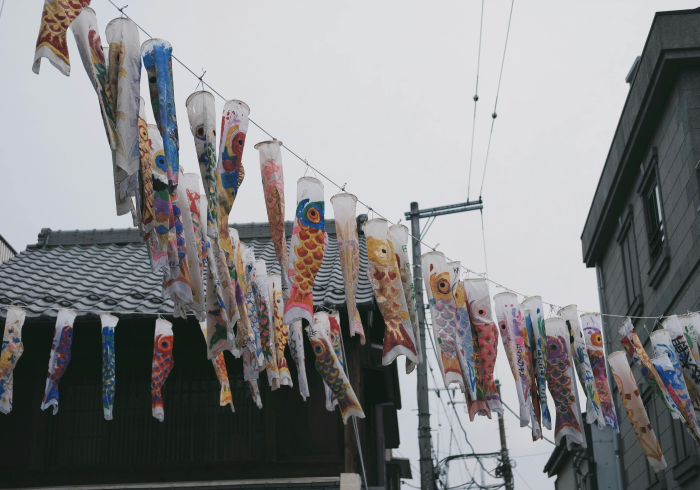 实测!“鱼扑克有挂辅助吗”[原来真的有挂]