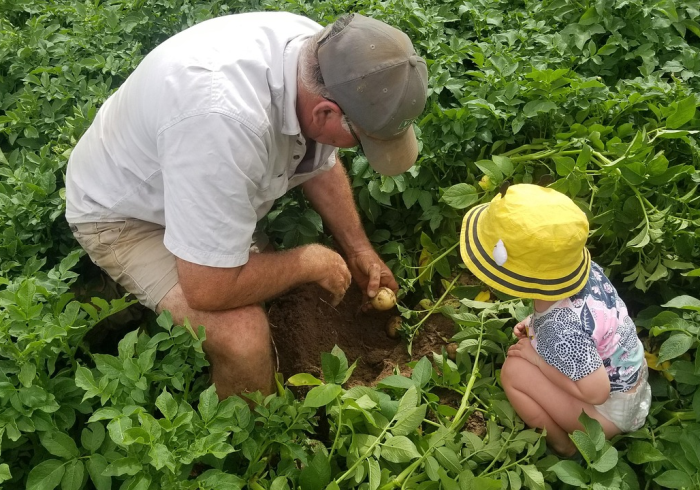 今日重大通报“农场假日可以开挂吗”可以辅助
