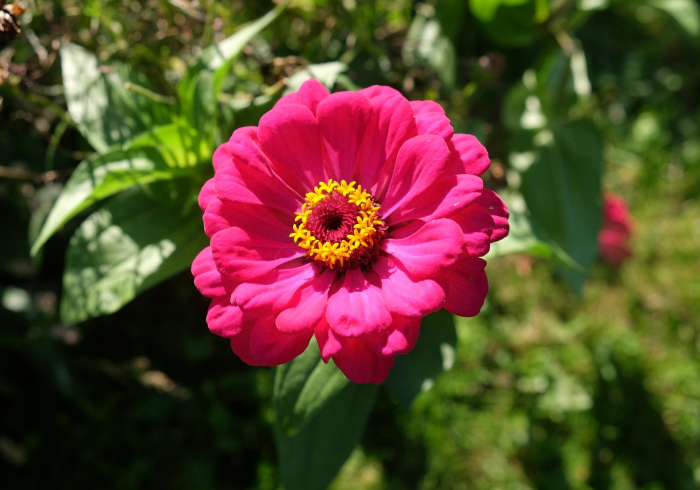 科技通报“花花生活圈能不能开挂”事实上确实有挂