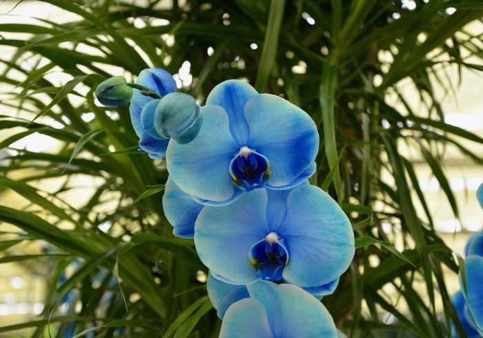 4分钟讲解＂花花生活圈能调胜率吗[确实真的有挂]