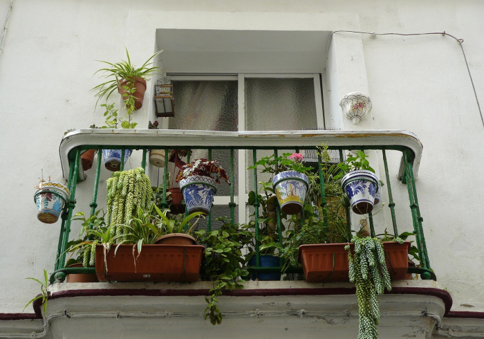 今日推荐“女娲大厅哪里能买到真的挂”原来可以开挂