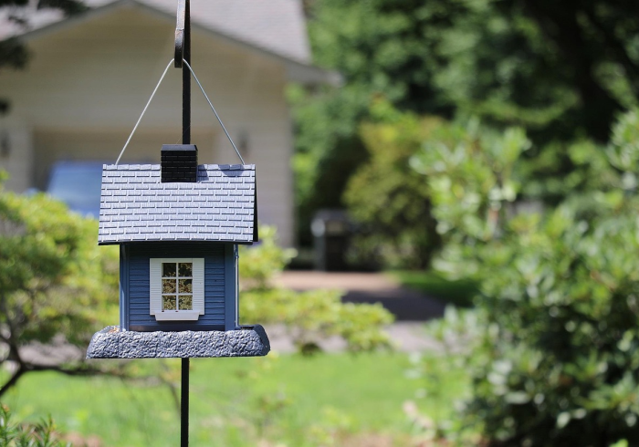 分享实测“乐斗小院可以开挂吗”原来可以开挂